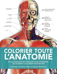 Colorier toute l'anatomie