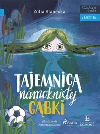 Tajemnica namokniętej gąbki