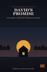 DAVID’S PROMISE