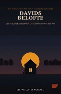 DAVIDS BELOFTE