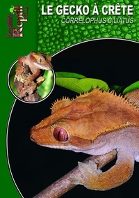 Stefanie Bach - Le gecko à crête de Nouvelle-Calédonie - Rhacodactylus ciliatus.