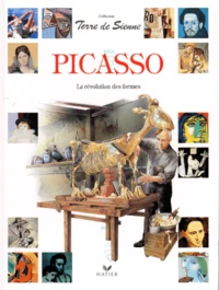 Picasso. La Revolution Des Formes