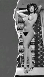 Bizarre Sinema! Archives - Mondo Sexy