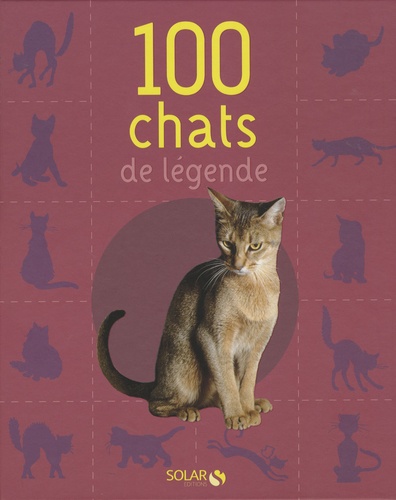 Stefano Salviati - 100 chats de légende.