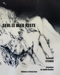 Seul le bleu reste