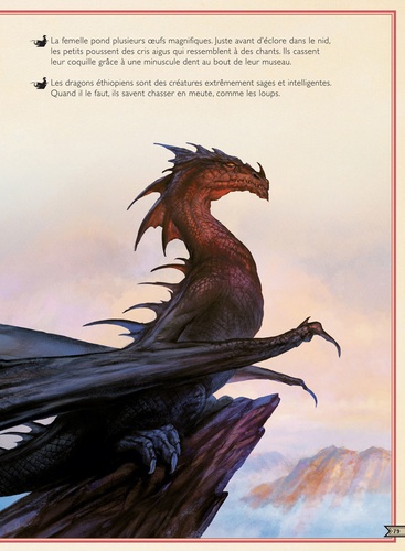 Le livre extraordinaire des dragons