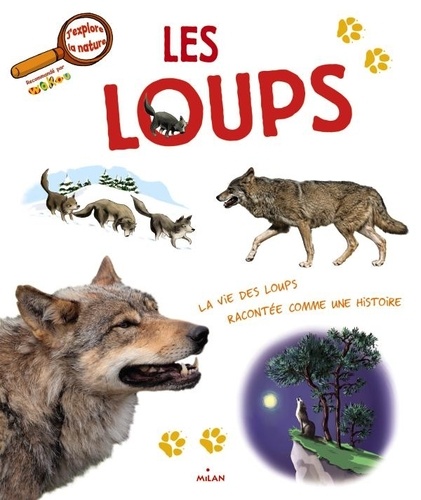 Stéphan Bonneau - Les loups.