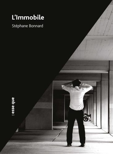 Stéphane Bonnard - L'Immobile.