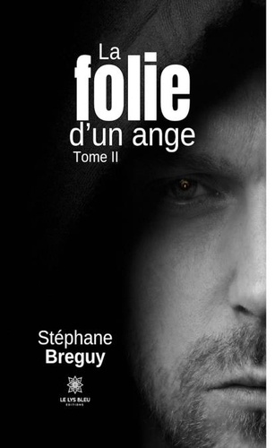 Stéphane Breguy - La folie d'un ange Tome 2 : .