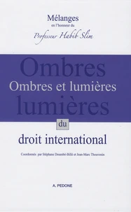 Ombres et lumières du droit international