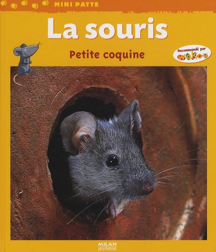 Stéphane Frattini - La souris - Petite coquine.