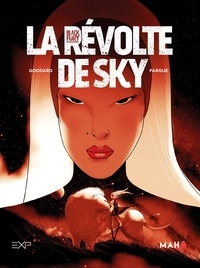 Stéphane Goddard et Adrien Fargue - Blackfury Tome 2 : La révolte de Sky.