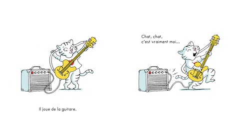 Rémi chat-musicien