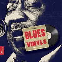 Stéphane Koechlin - Blues vinyls.