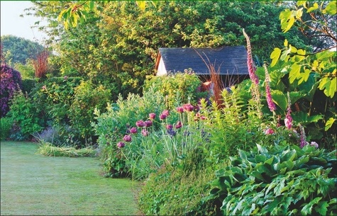 Aimer ses plantes. Silence, ça pousse !