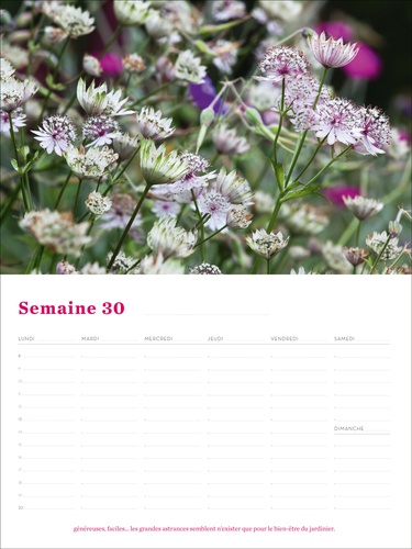 Silence, ça pousse !. Calendrier perpétuel 52 semaines