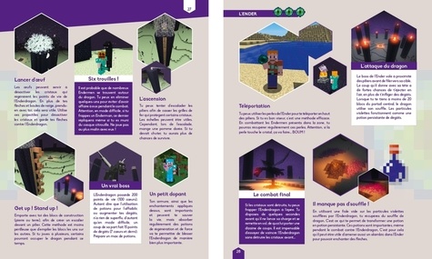 Minecraft. Le grand livre des trucs et astuces