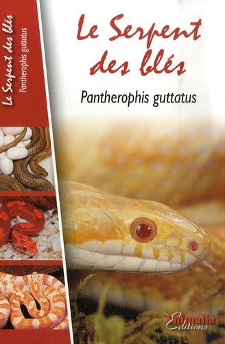 Stéphane Rosselle et Sébastien Engrand - Le Serpent des blés - Pantherophis guttatus.