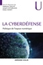 Stéphane Taillat et Amaël Cattaruzza - La cyberdéfense - Politique de l'espace numérique.