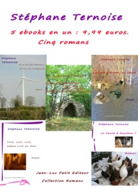 Stéphane Ternoise - 5 ebooks en un : 9,99 euros. Cinq romans - offre promotionnelle livre numérique français avec engagement qualité.