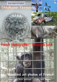 Stéphane Ternoise - French photographer: Notebook 2012 - Hundred art photos of France.