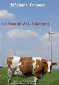 Stéphane Ternoise - La beauté des éoliennes.