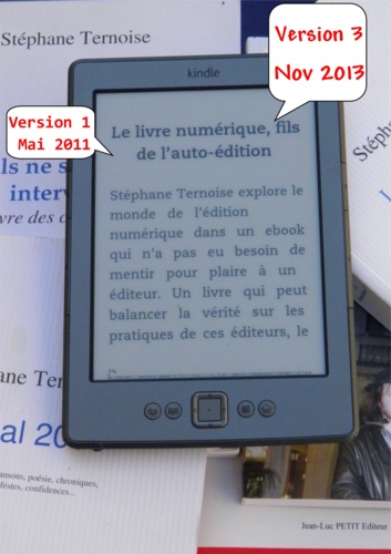 Le livre numérique, fils de l’auto-édition. Version 3 novembre 2013 - comprendre les enjeux de l'édition en France