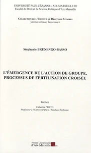 L'émergence de l'action de groupe, processus de fertilisation croisée