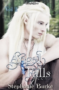  Stephanie Burke - Angel Falls Vol. 2 - Angel Falls, #2.