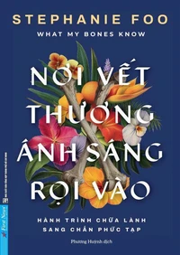 Nơi Vết Thương Ánh Sáng Rọi Vào