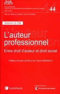 Stéphanie Le Cam - L'auteur professionnel - Entre droit d'auteur et droit social.