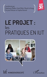 Stéphanie Mailles-Viard Metz et Chrysta Pélissier - Le projet : les pratiques en IUT.