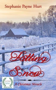 Falling Snow - A Christmas Miracle