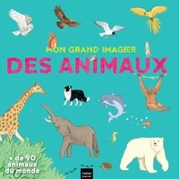 Stéphanie Rubini - Mon grand imagier des animaux.