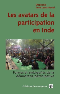 Les avatars de la participation