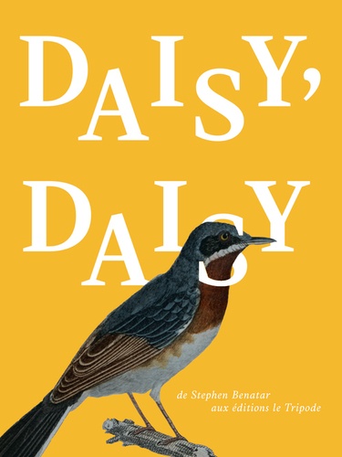 Stephen Benatar - Daisy, daisy.