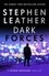 Dark Forces. The 13th Spider Shepherd Thriller