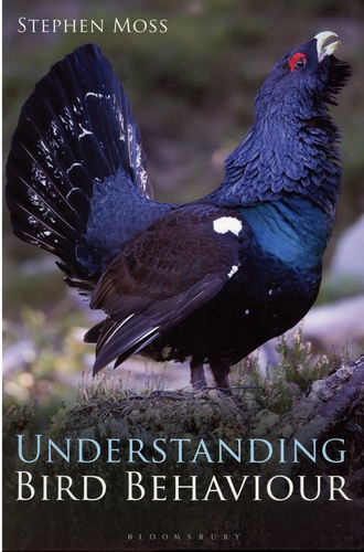 Understanding Bird Behaviour
