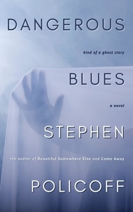  Stephen Policoff - Dangerous Blues.
