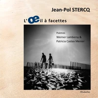 L'oeil à facettes