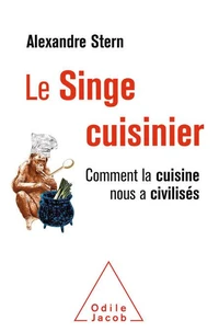 Le singe cuisinier