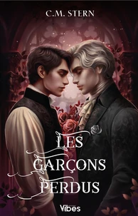 Les garçons perdus Tome 2
