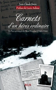 Carnets d'un héros ordinaire