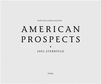 Joel Sternfeld American Prospects
