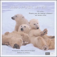 Steve Bloom et Andrew Gold - Amis pour la vie. 1 CD audio