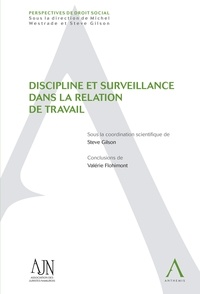 Steve Gilson - Discipline et surveillance dans la relation de travail.