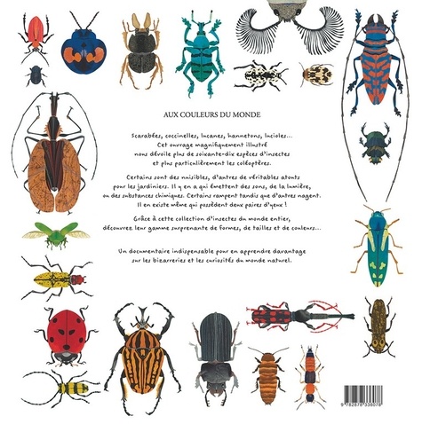 Insectes. Coléoptères