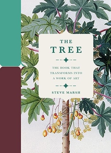 Steve Marsh - Tree.