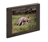 Steve McCurry - Lectures.