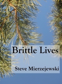  Steve Mierzejewski - Brittle Lives.
